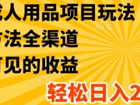 成人用品赚钱新玩法：全渠道方法揭秘，轻松日入2K+-54创业网