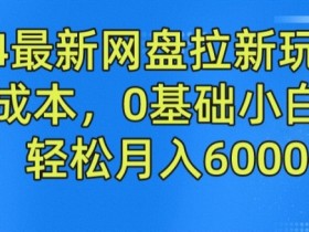 2024网盘拉新赚钱攻略：0成本0基础小白轻松月入6000+最新玩法揭秘-54创业网