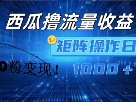 西瓜视频0粉变现：简单上手撸流量矩阵，日入1000+实操揭秘-54创业网
