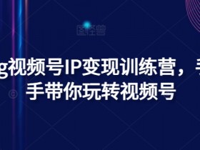 视频号IP变现训练营：手把手教你玩转Vlog赚钱-54创业网