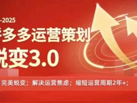 2024-2025拼多多运营3.0策略：0基础蜕变指南，轻松解决信息焦虑-54创业网