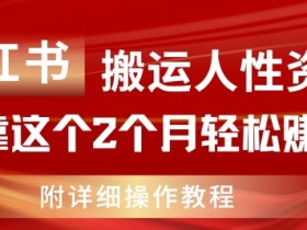 人性资料搬运赚钱：2个月赚11w的小红书搬运教程揭秘-54创业网