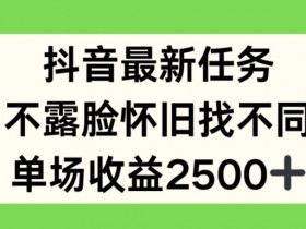 不露脸怀旧找不同任务：抖音单场收益2.5k最新玩法揭秘-54创业网