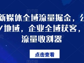 企业全域获客：公域+私域+地域流量掘金，百亿流量收割秘籍-54创业网