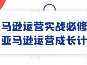 亚马逊运营实战必修课：从新手到高手的成长计划-54创业网