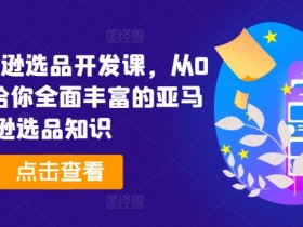 2024亚马逊选品开发课：0基础入门到精通，掌握爆款选品技巧-54创业网