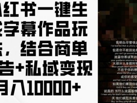 小红书字幕作品赚钱秘籍：商单+私域变现轻松月入1w+玩法大公开-54创业网