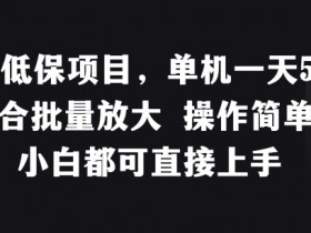 稳定低保项目：单机日赚50+，适合批量放大，操作简单小白轻松上手-54创业网