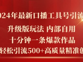 2024最新口播工具引流秘籍：10分钟爆款日引500+精准创业粉-54创业网