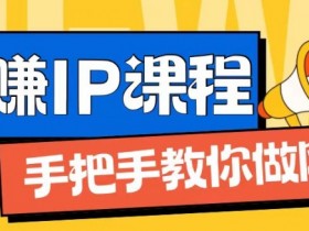 IP合伙人1.0：从0到1网创实战，揭秘月入过万赚钱秘籍-54创业网