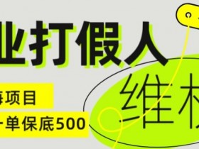 电商职业打假人赚钱秘籍：冷门暴利项目日入500+实操揭秘-54创业网