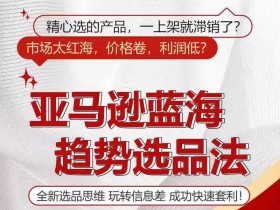 2024亚马逊蓝海选品攻略：信息差赚钱新思路-54创业网