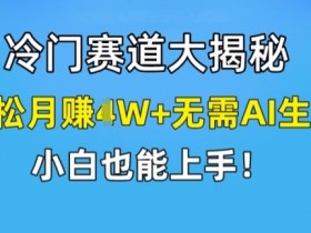 冷门赚钱赛道揭秘：小白轻松月入1W+，无需AI零门槛上手-54创业网