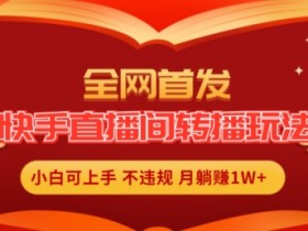 快手直播转播玩法：无人直播躺赚秘籍，小白轻松月入1W+-54创业网