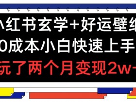 玄学壁纸变现秘诀：0成本2个月赚2w+，小红书好运玩法小白速成-54创业网