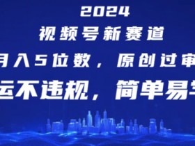 2024视频号赚钱新赛道：原创过审搬运不违规，月入5位数+简单易学-54创业网