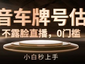 抖音车牌号估值怎么查？不露脸直播0门槛赚钱，新手3分钟学会-54创业网