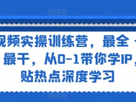 短视频实操训练营：0基础打造IP，紧贴热点深度学习，最全最新干货-54创业网