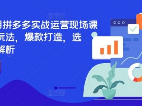 2024拼多多运营实战课：7月爆款选品技巧+最新规则解析，现场教学-54创业网