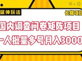国内调查问卷赚钱：矩阵项目批量操作，轻松月入3000+攻略-54创业网
