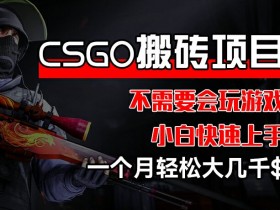 CSGO搬砖赚钱项目：0基础小白月入几千实操攻略，不会玩游戏也能轻松上手-54创业网