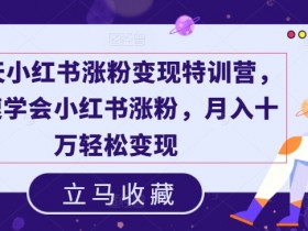 小红书涨粉变现特训营：19天快速涨粉技巧，轻松月入10万-54创业网