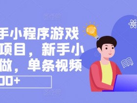 抖音快手小程序游戏怎么赚钱？新手单条视频收益9000+教程-54创业网