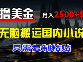 搬运小说爽文赚美金：新手复制粘贴月入2500+美元项目揭秘-54创业网