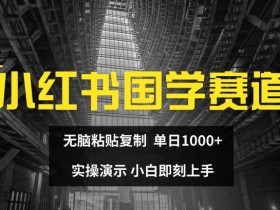 国学赚钱秘籍：小红书1天1K实操，复制粘贴就能做，新手必看！-54创业网