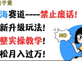 蓝海赛道赚钱秘诀：最新升级玩法实操教学，轻松月入过万-54创业网
