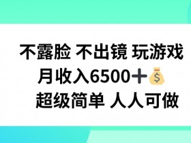 不露脸不出境玩游戏赚钱：月入6500的简单方法大揭秘-54创业网