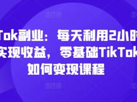 零基础TikTok变现课：每天2小时副业赚钱，TK轻松实现收益-54创业网