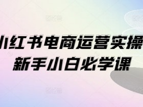 小红书电商运营1V1实操课：新手小白必学爆单技巧-54创业网