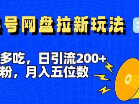 创业粉日引流200+：一鱼多吃全平台工具号，网盘拉新月入5位数揭秘-54创业网