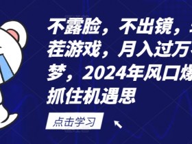 不露脸不出镜如何玩转找茬游戏月入过万？2024年赚钱风口揭秘-54创业网