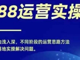 零基础1688实操运营课：电商年入百万实战教程-54创业网