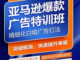 亚马逊关键词库搭建与广告优化：快速提升旺季销量爆款特训班-54创业网