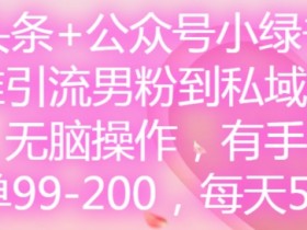 男粉引流秘籍：微头条+公众号小绿书卖套图，日赚500+无脑操作-54创业网