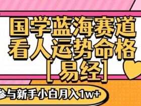 国学零基础手把手教学：新手小白如何月入1W+蓝海赛道揭秘-54创业网
