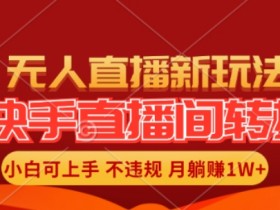 快手直播转播赚钱：全自动无人操作，新手轻松月入1W+玩法大公开-54创业网