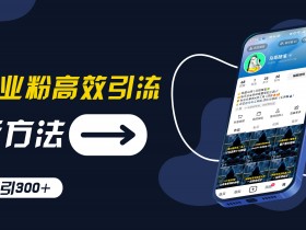 创业粉高效引流：抖音工具号实战玩法，日引300+精准流量【揭秘】-54创业网