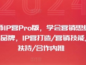 摄影师IP营Pro版：学会营销思维打造个人品牌，流量扶持+合作内推-54创业网