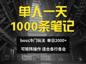 BOSS直聘赚钱秘籍：单人日赚2000+，日更1000条笔记的正确玩法-54创业网