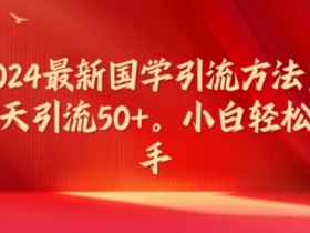 2024国学引流秘籍：小白轻松日引50+流量，最新方法大揭秘-54创业网