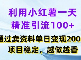 小红书精准引流100+日变现2k+项目：稳定副业越做越香揭秘-54创业网