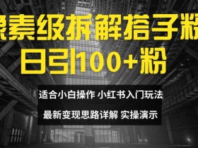 像素级拆解搭子粉变现：日引100+小白教程，最新赚钱玩法大公开-54创业网