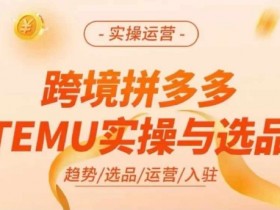 跨境TEMU选品运营实操：拼多多跨境爆款打造与选品技巧-54创业网