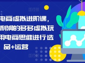 拼多多虚拟电商课：高利润选品运营技巧，轻松玩转多多虚拟玩法-54创业网