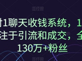 1对1聊天收钱系统：10年引流成交经验，130万+粉丝验证-54创业网