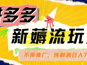 拼多多自然流玩法揭秘：日入700+纯赚50+利润，不开车推广也能薅流量-54创业网